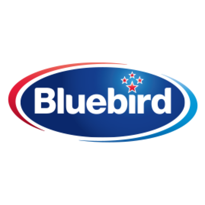 Bluebird